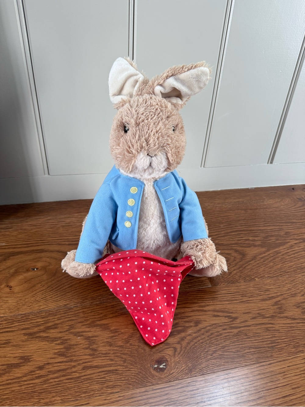 Gund Peter Rabbit Peek A Boo Plush